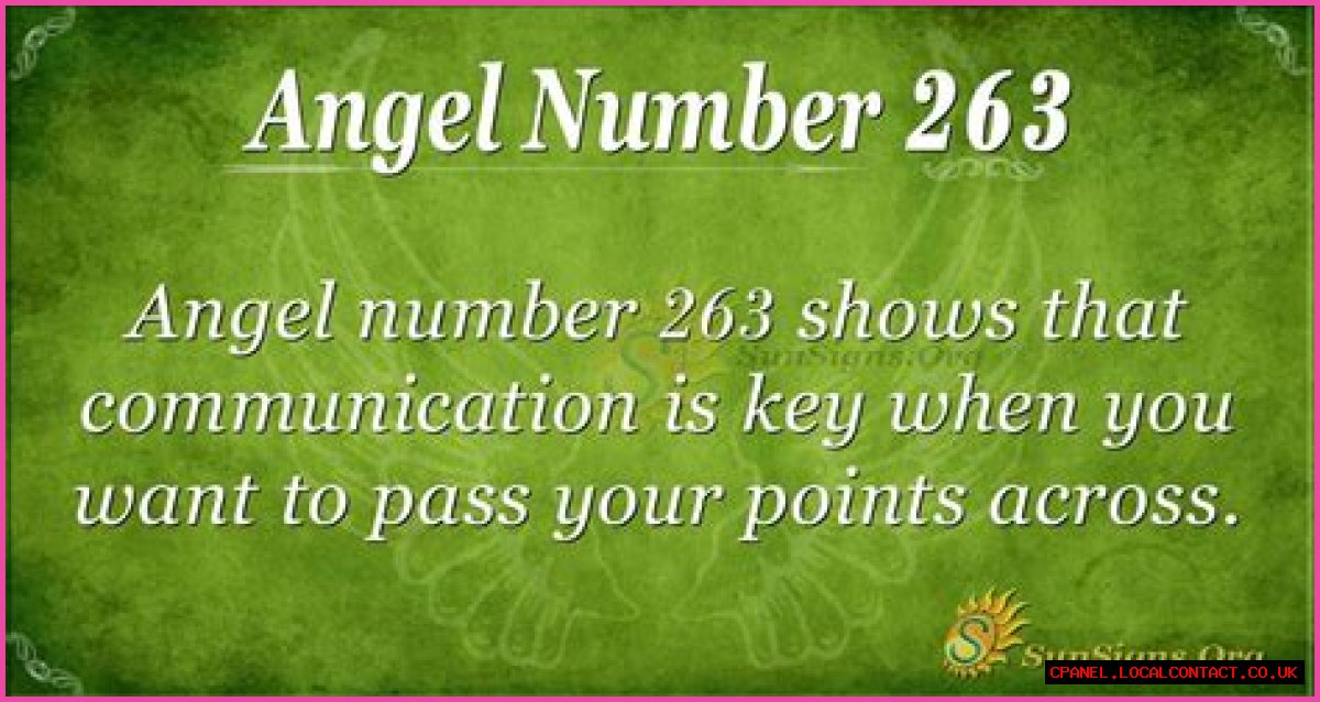 263 Angel Number Meaning - Pulptastic