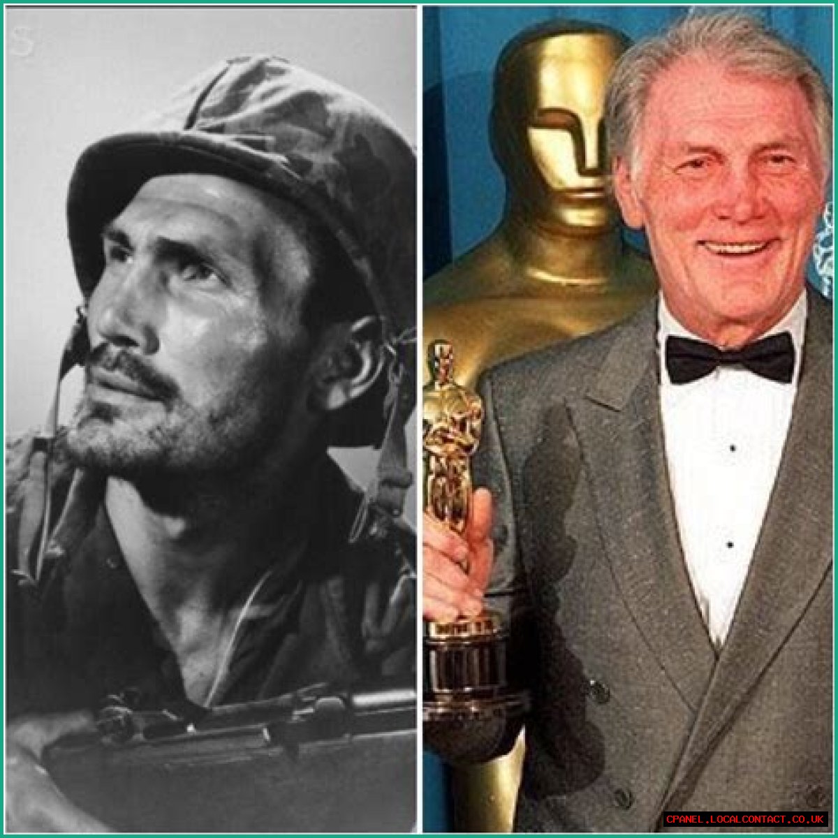 A Veteran Actor In Hollywood