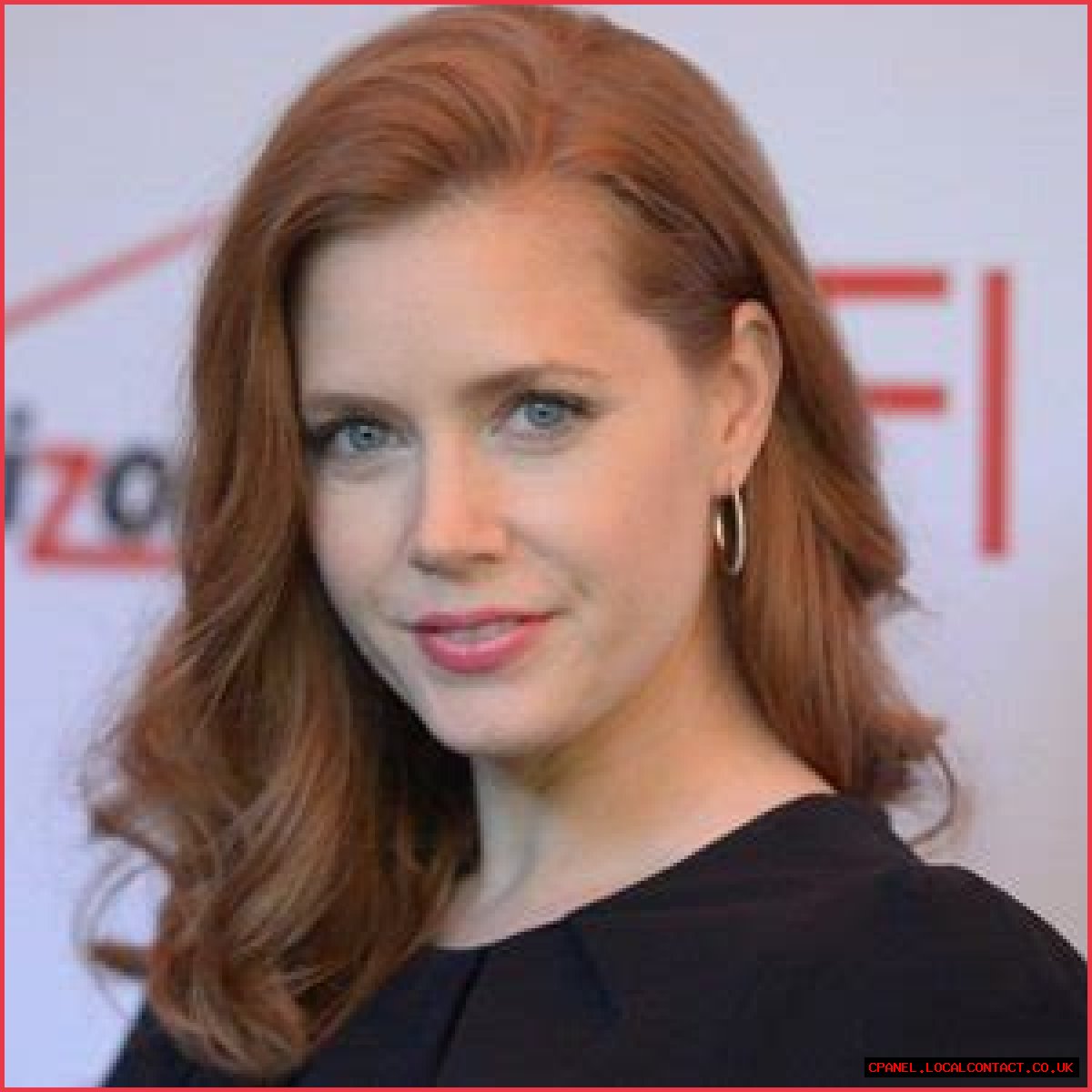 Amy Adams Age and Height, Weight, Bikini, Children, Instagram, Wiki, Wikipedia