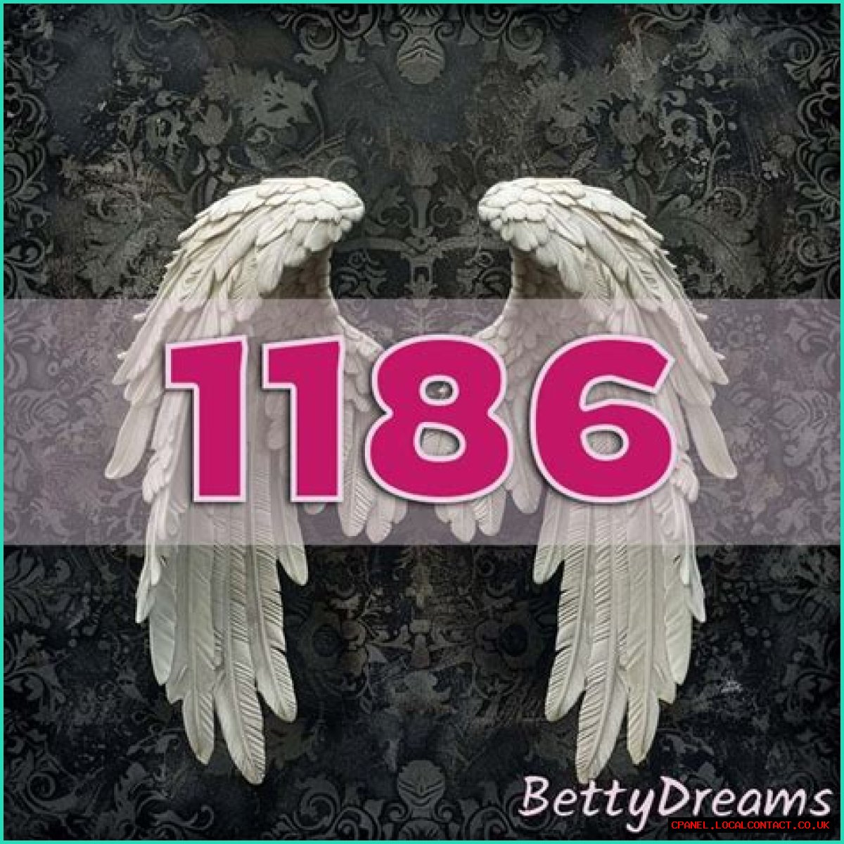 
ANGEL NUMBER 1186

