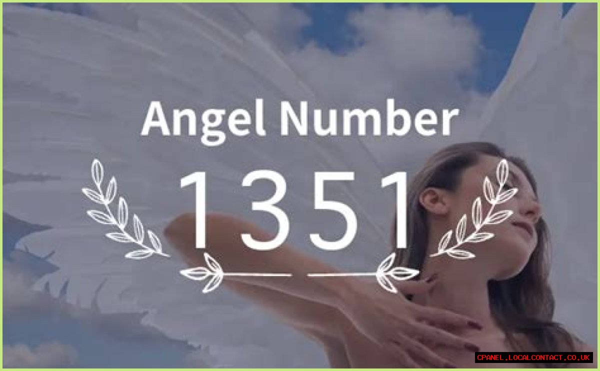 
ANGEL NUMBER 1351
