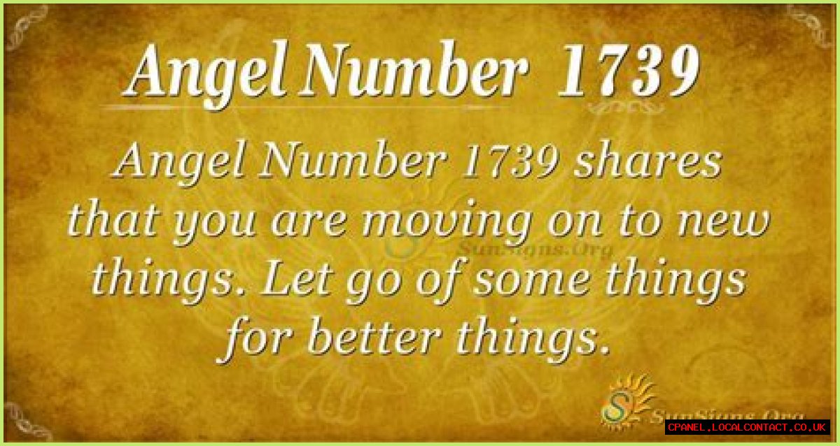 
ANGEL NUMBER 1739
