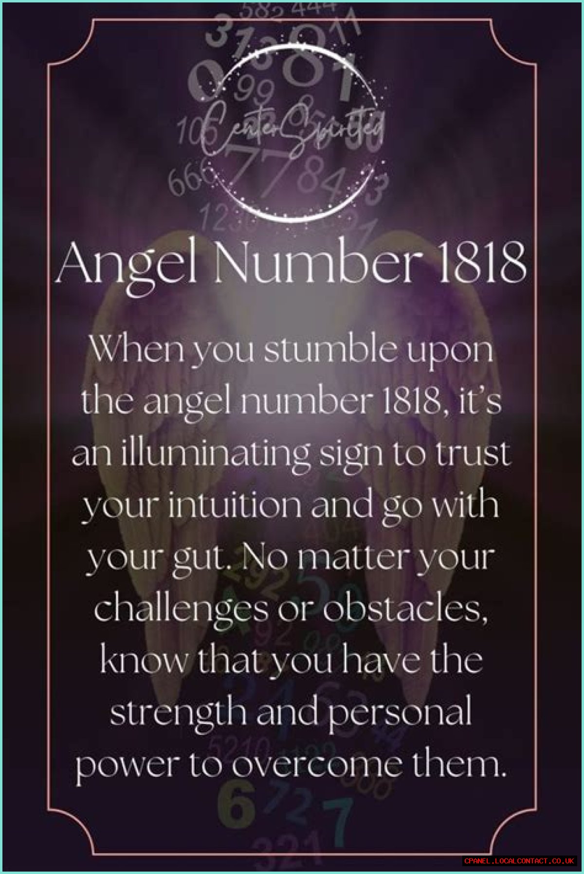 
ANGEL NUMBER 1818
