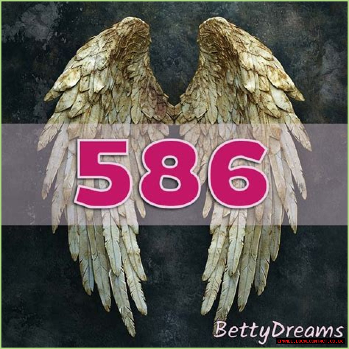 
ANGEL NUMBER 586
