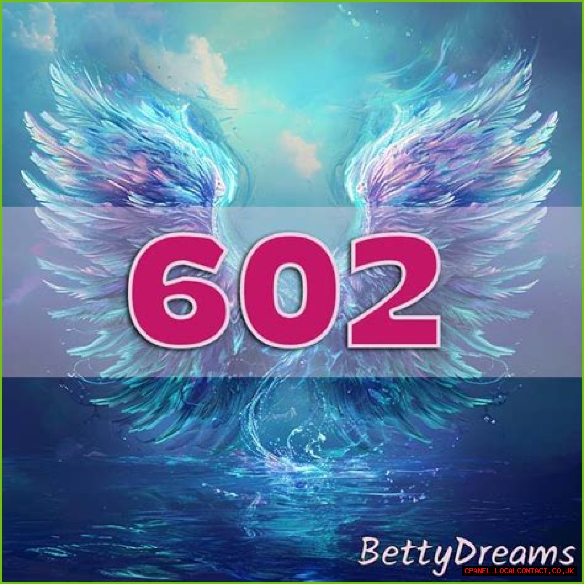 
ANGEL NUMBER 602

