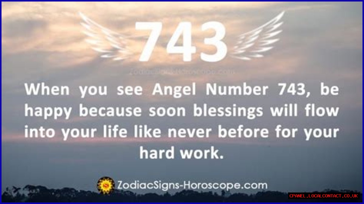 
ANGEL NUMBER 743
