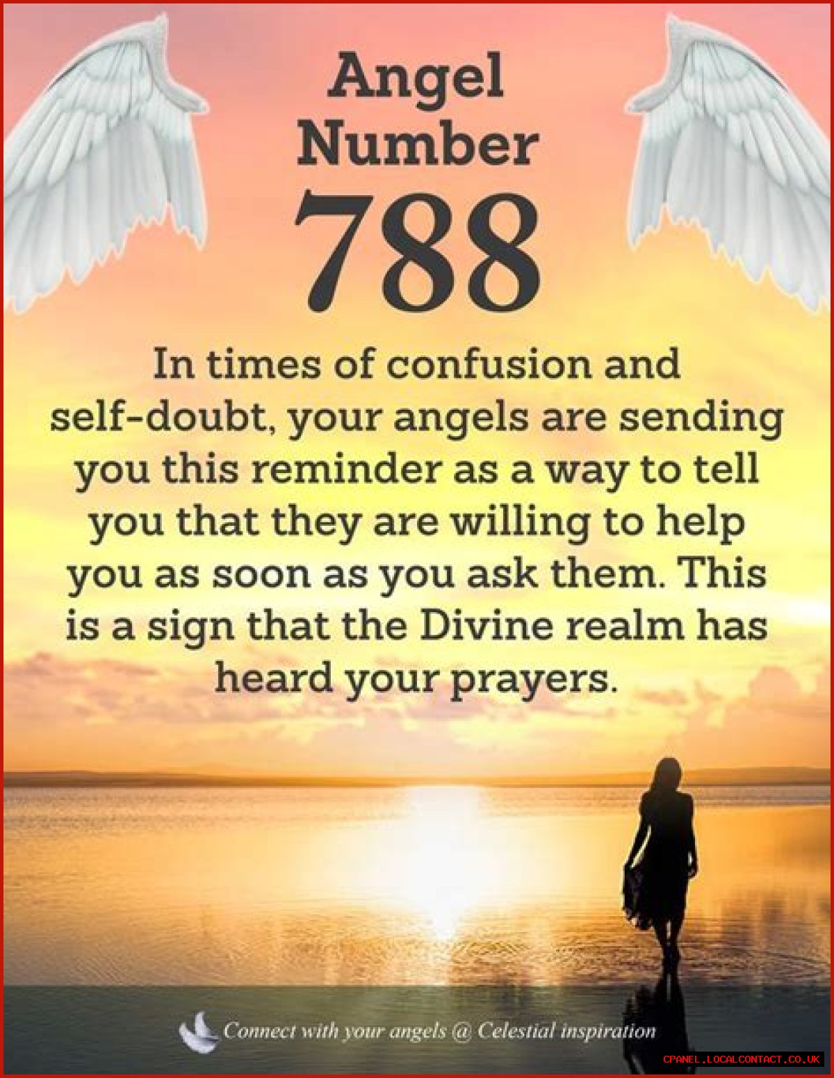 
ANGEL NUMBER 788
