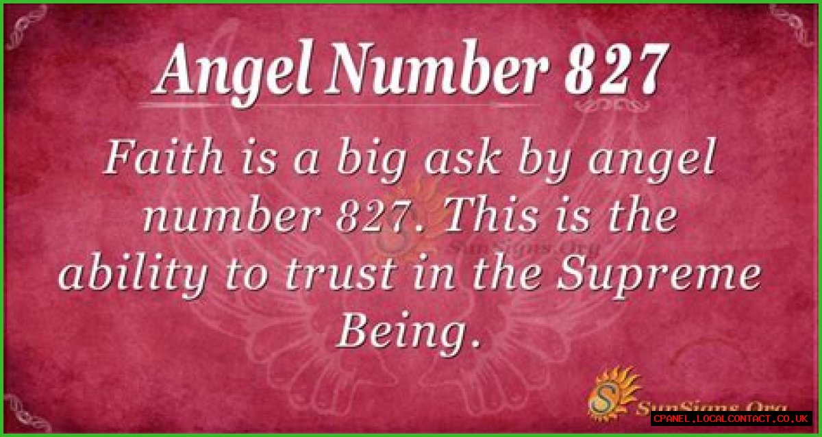 
ANGEL NUMBER 827
