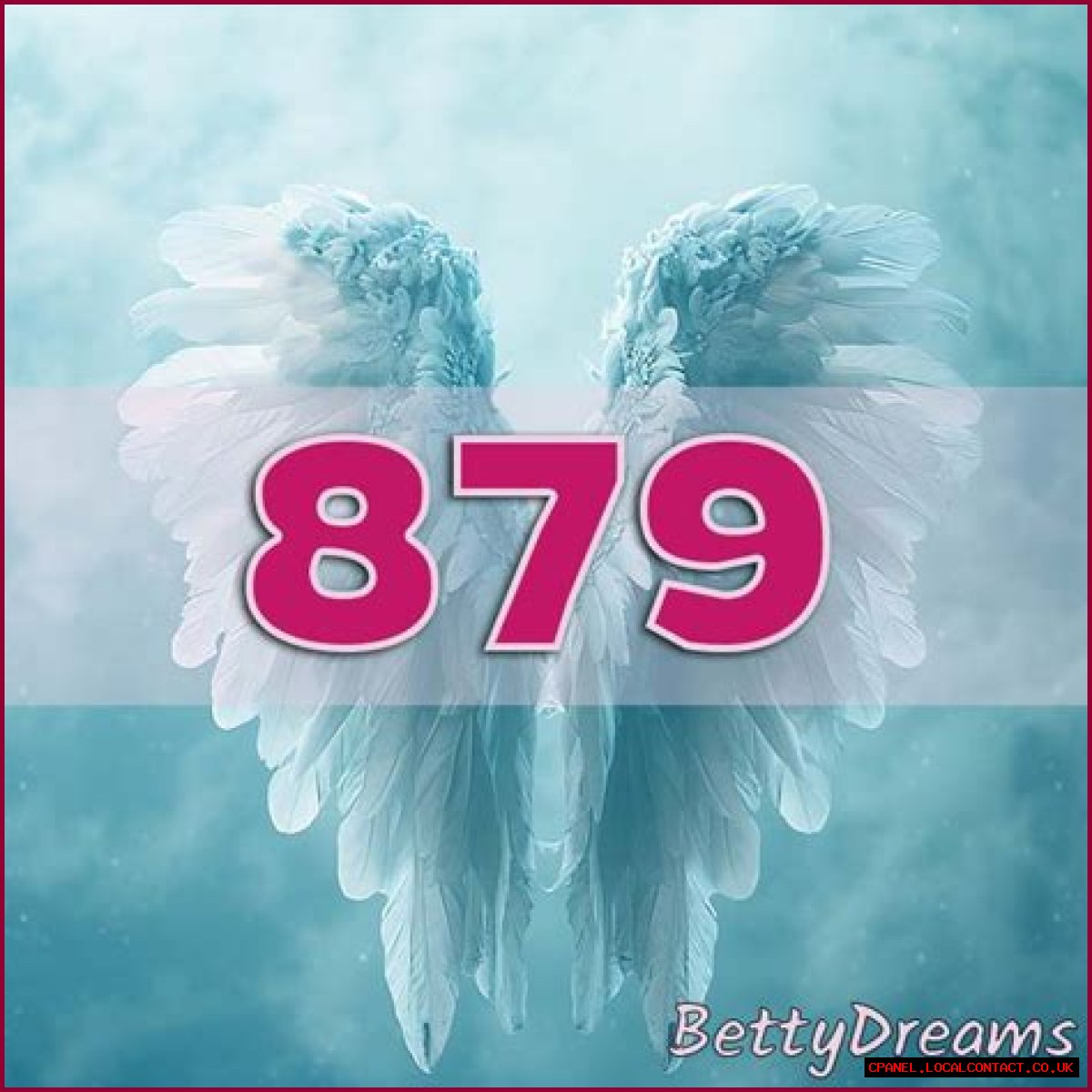 
ANGEL NUMBER 879
