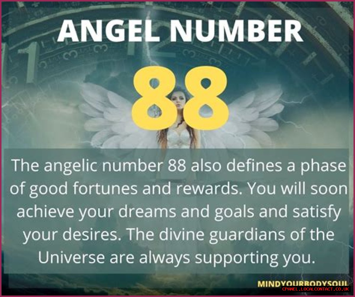 
ANGEL NUMBER 88
