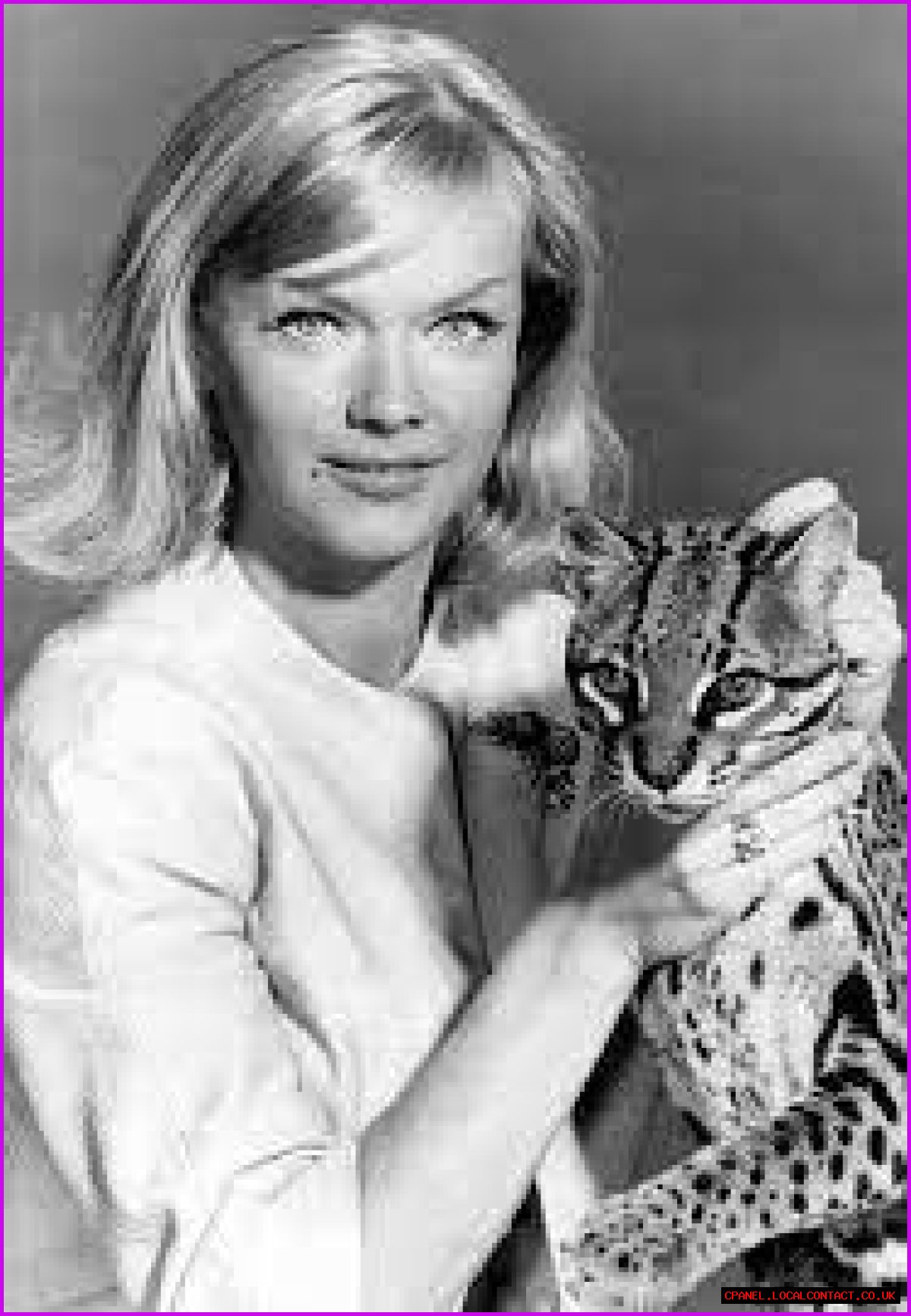 Anne Francis Net Worth