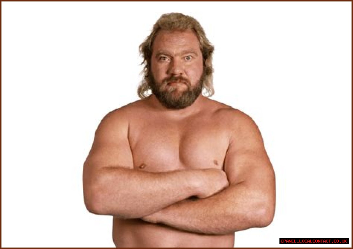 Big John Studd
