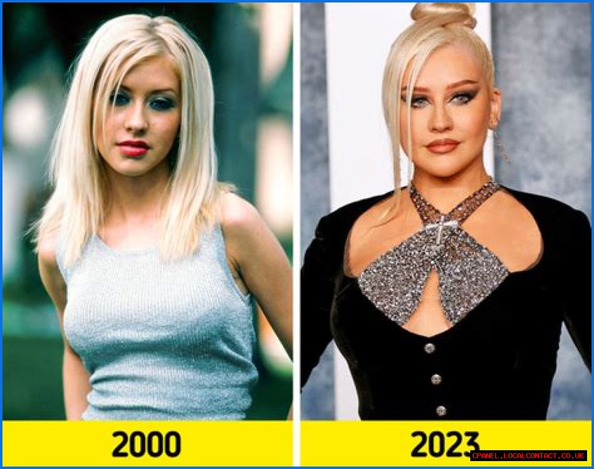 Christina Aguilera looks really different now, right?  What did she do?