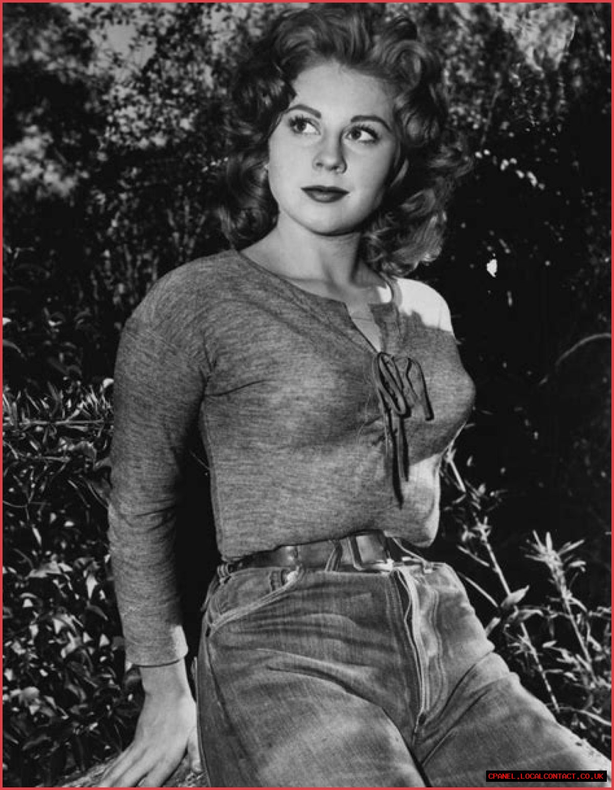 Discovering The Talented Journey Of Actress Sherry Jackson