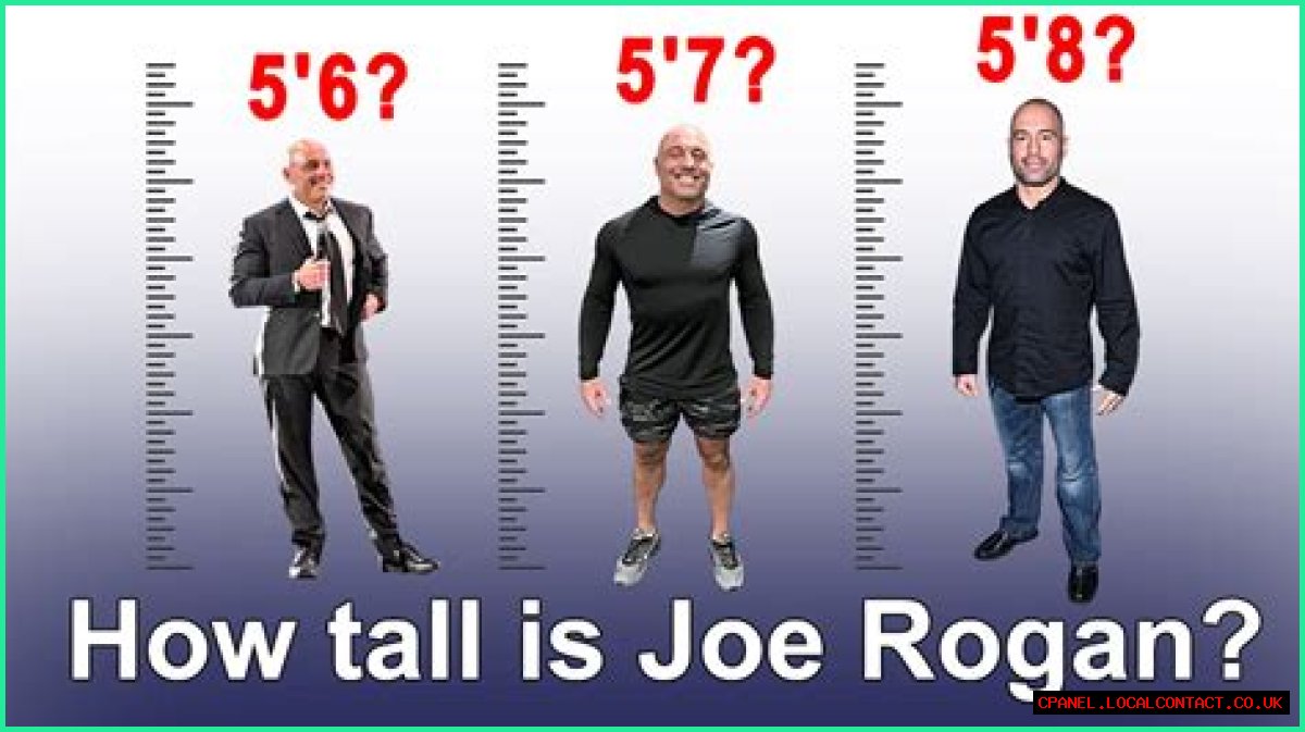 Exploring The Connection: Seth Rogan And Joe Rogan Related?