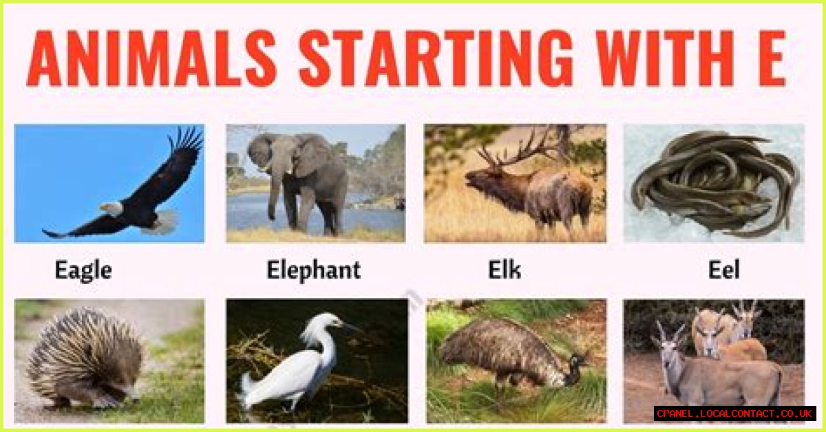 Exploring The Enigmatic World Of Animals Starting With E