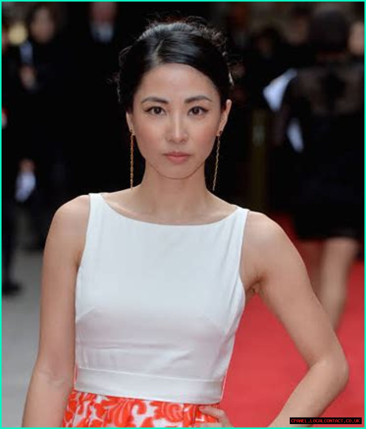 Exploring The Life And Career Of Jing Lusi