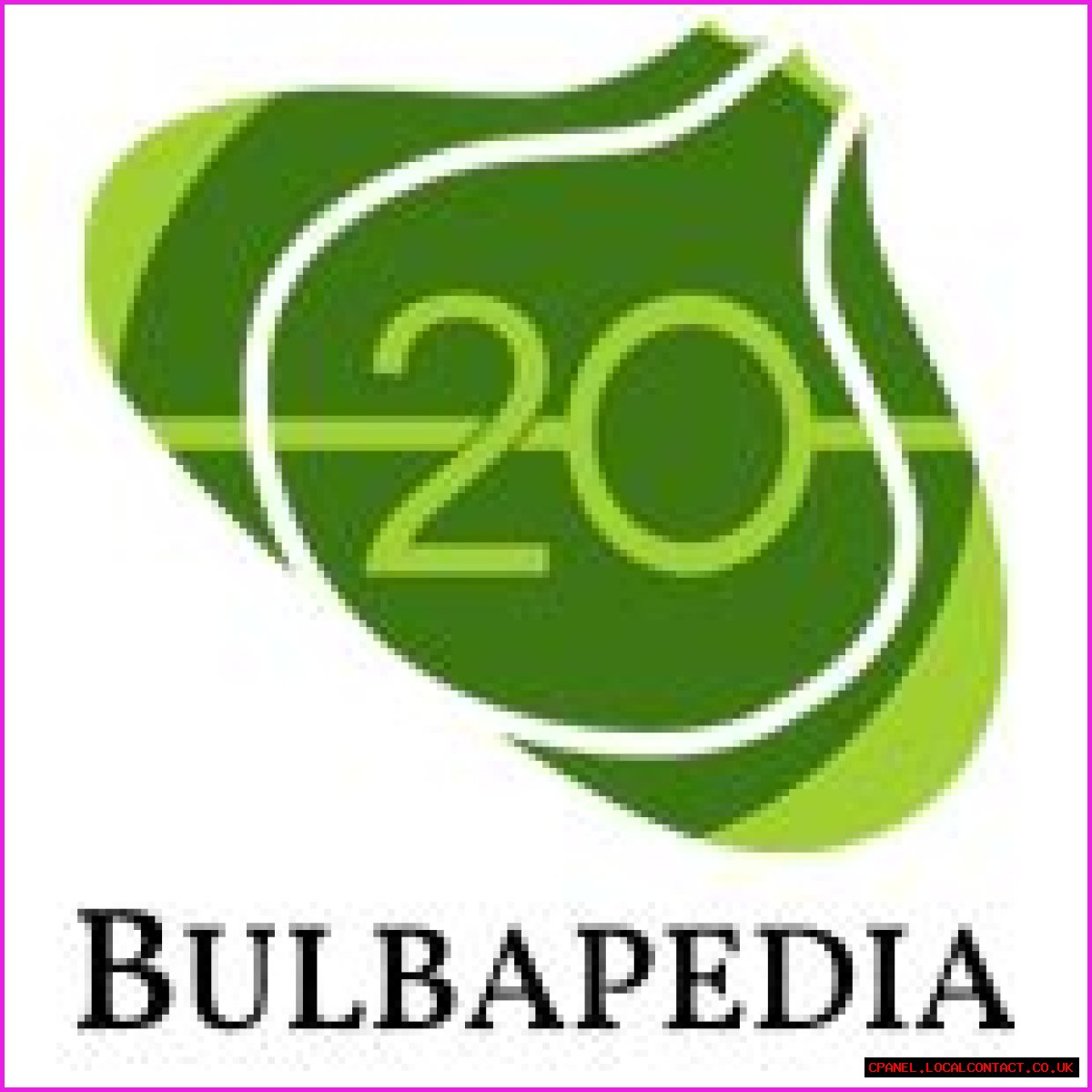 Fighting (type) - Bulbapedia, the community-driven Pokémon encyclopedia