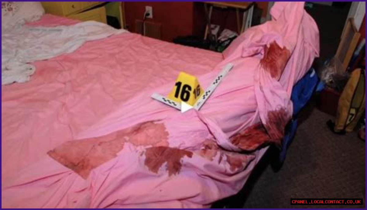 Gypsy Rose Mom Crime Scene Photos: Unraveling The Controversial Case