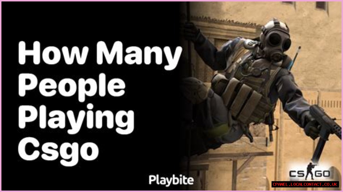 How many people are playing csgo