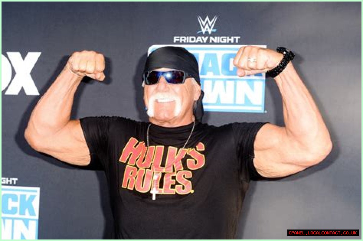 Hulk Hogan Net Worth | Celebrity Net Worth