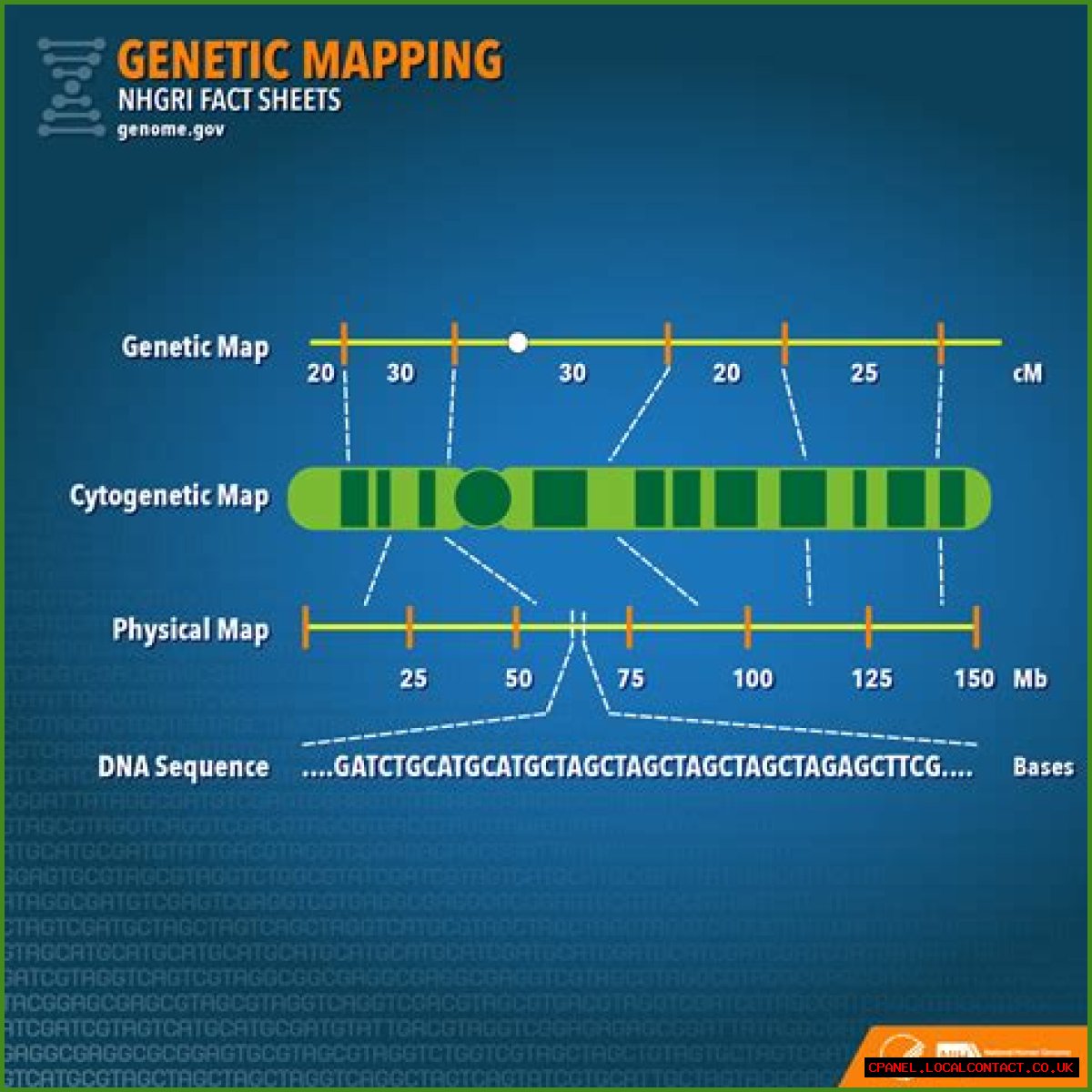 It's in your genes: Abbr.