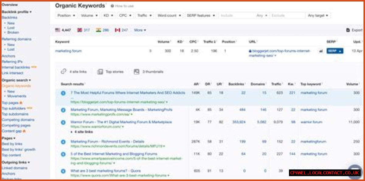 Mastering Your Online Presence With Rank SERP