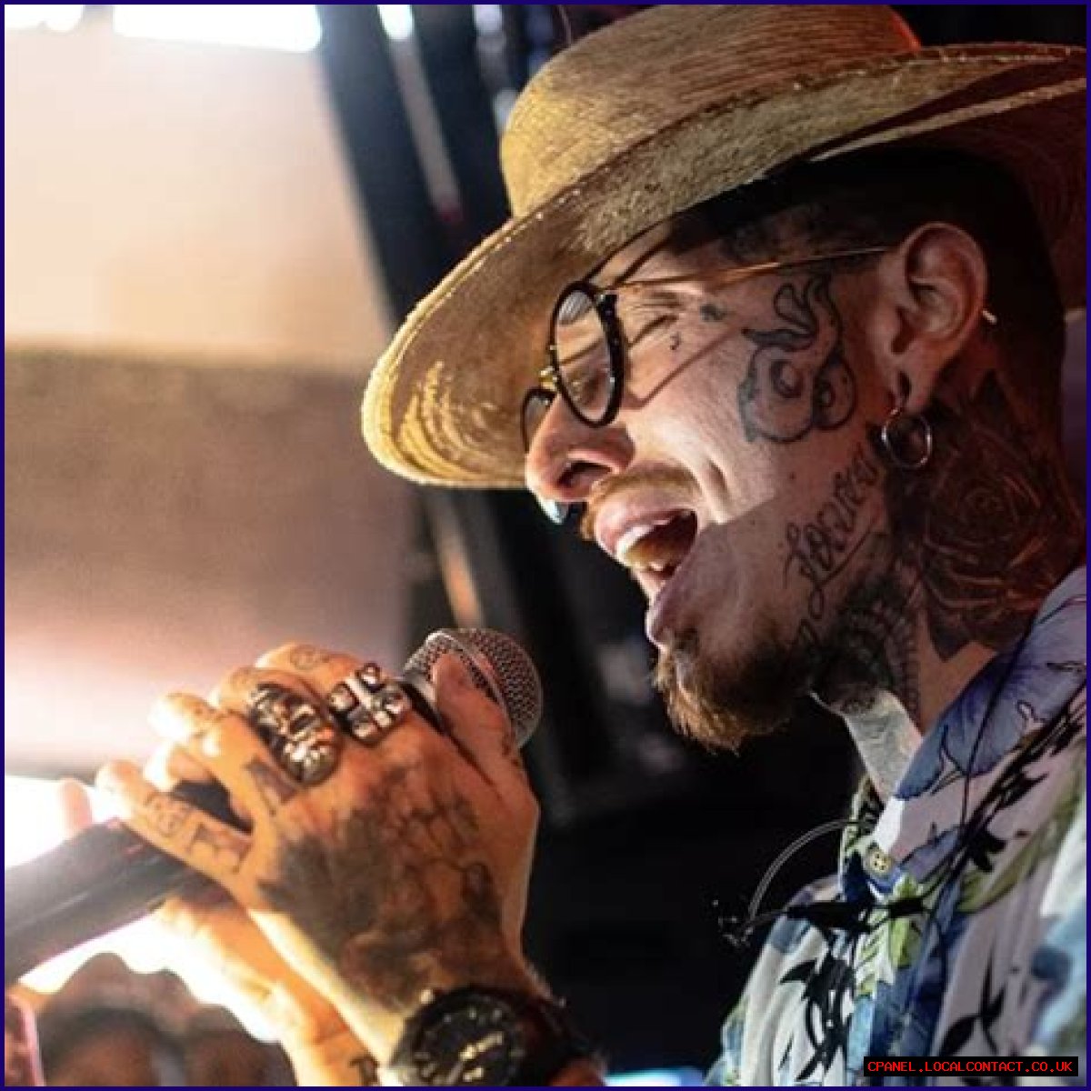Nanpa Básico Net Worth