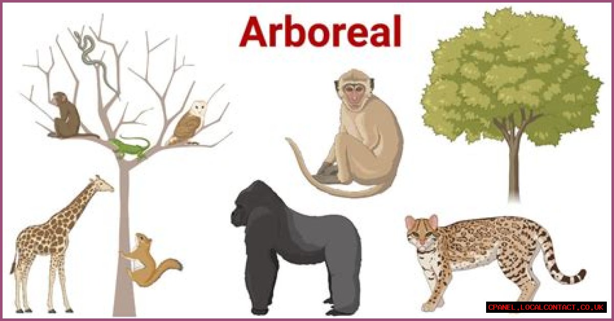 Place for an arboreal animal
