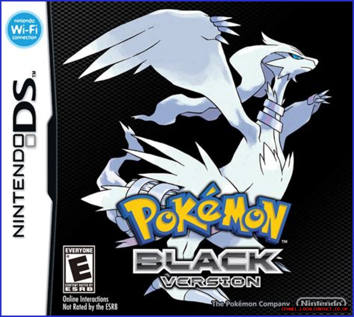 Pokémon Black and White Versions
