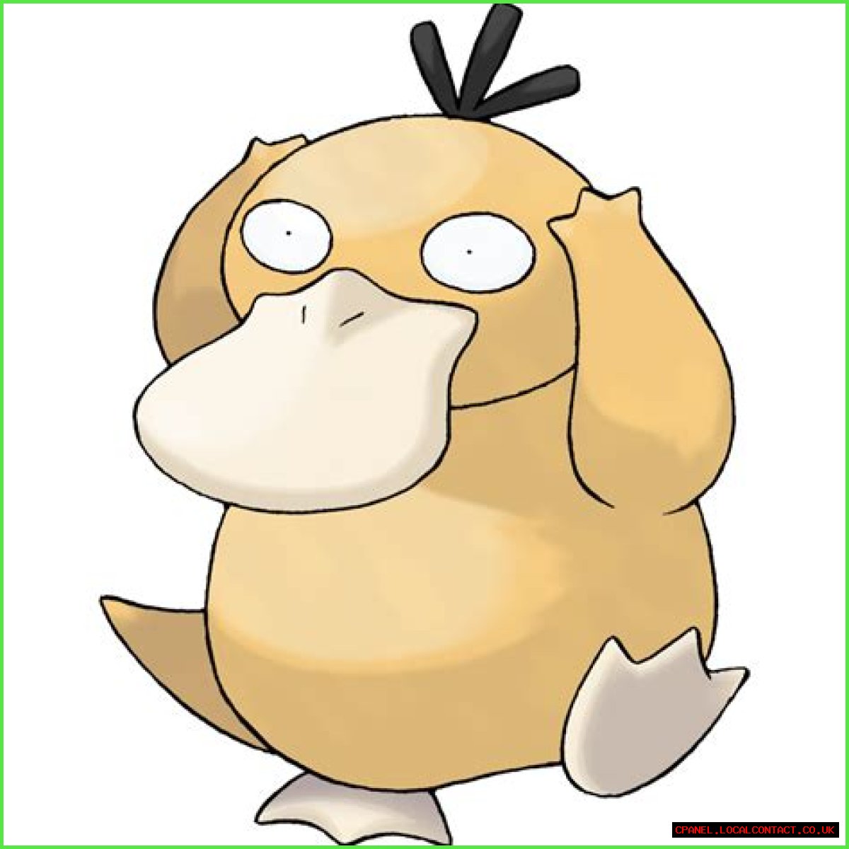 Psyduck (Pokémon) - Bulbapedia, the community-driven Pokémon encyclopedia