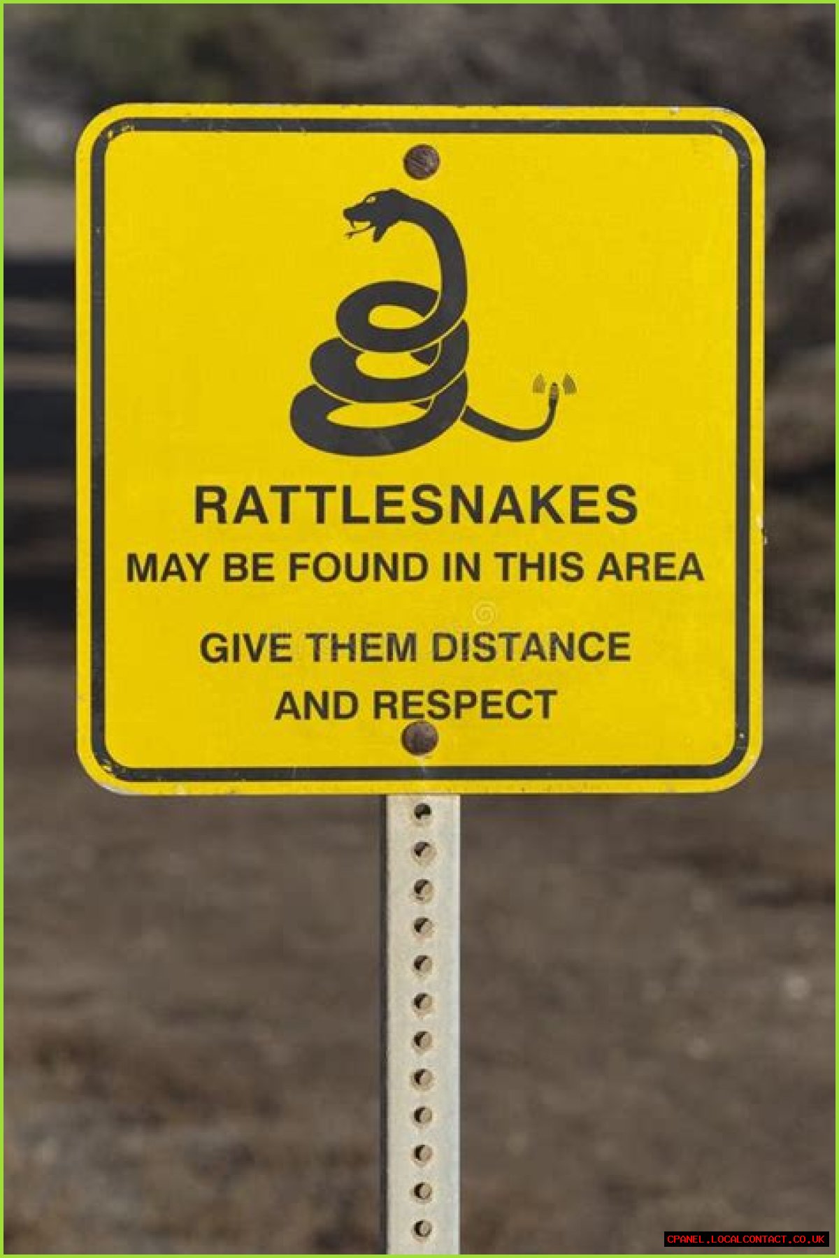 Rattlesnake's warning
