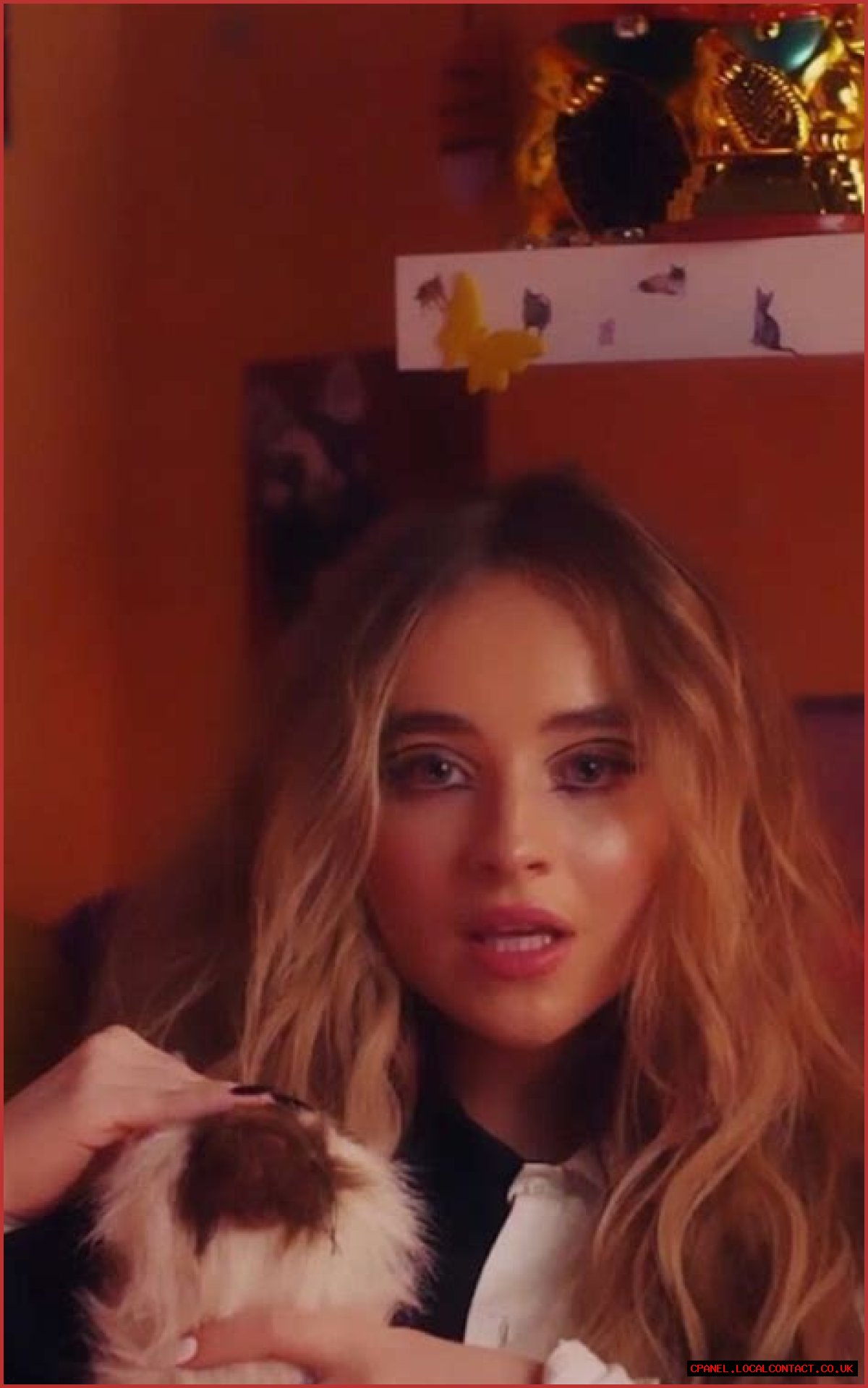 Sabrina Carpenter Dimensions: A Comprehensive Look At Her Physical Attributes And Career