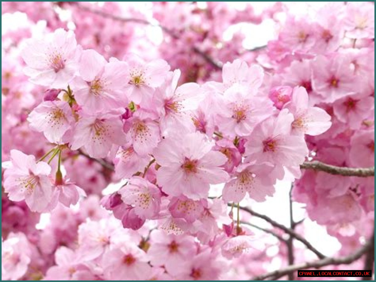 Small blossom