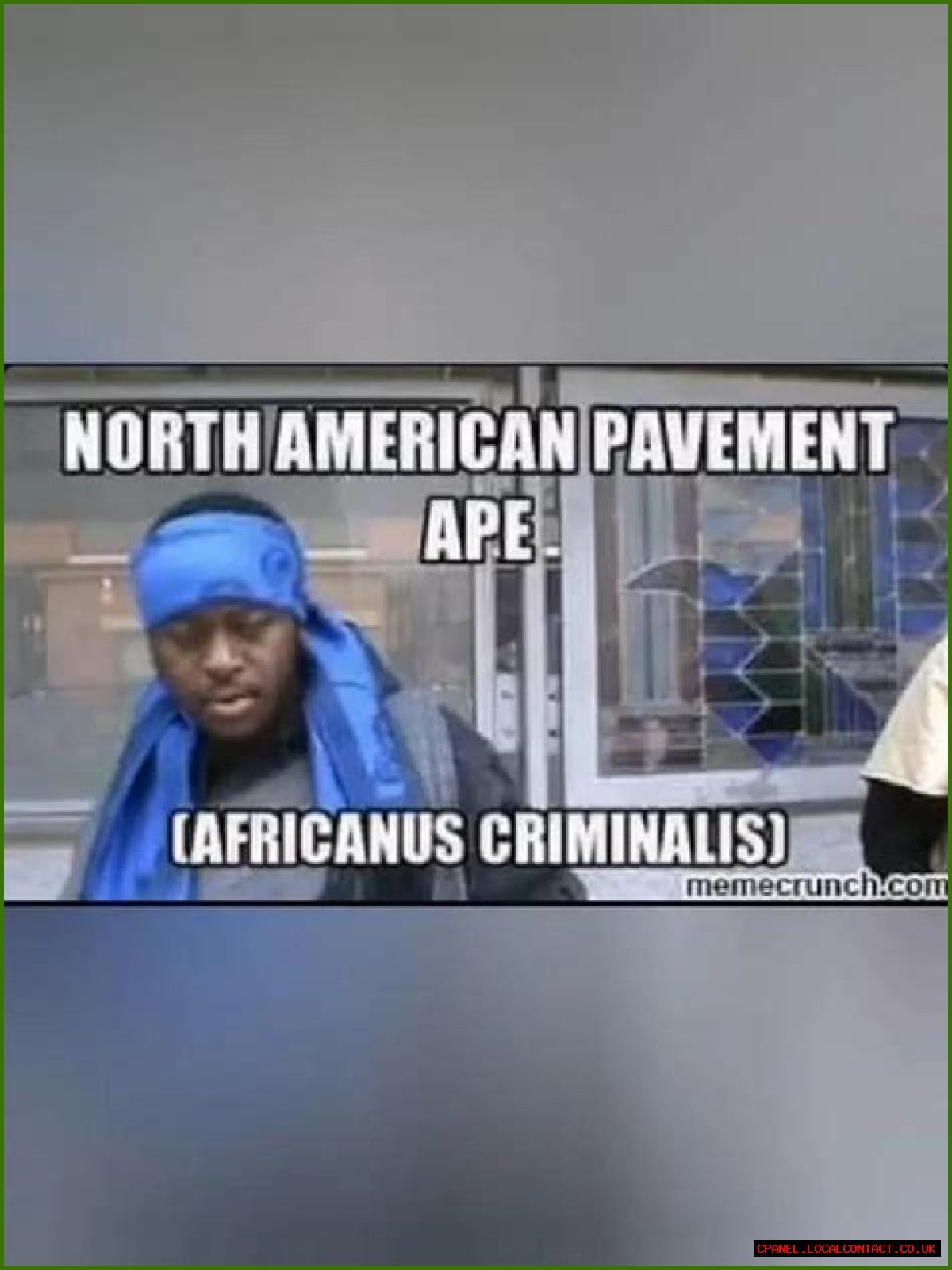 Uncovering Insights On "North American Pavement Ape Video"