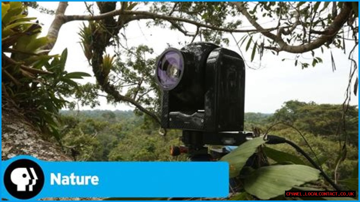 Undercover in the Jungle | About | Nature
