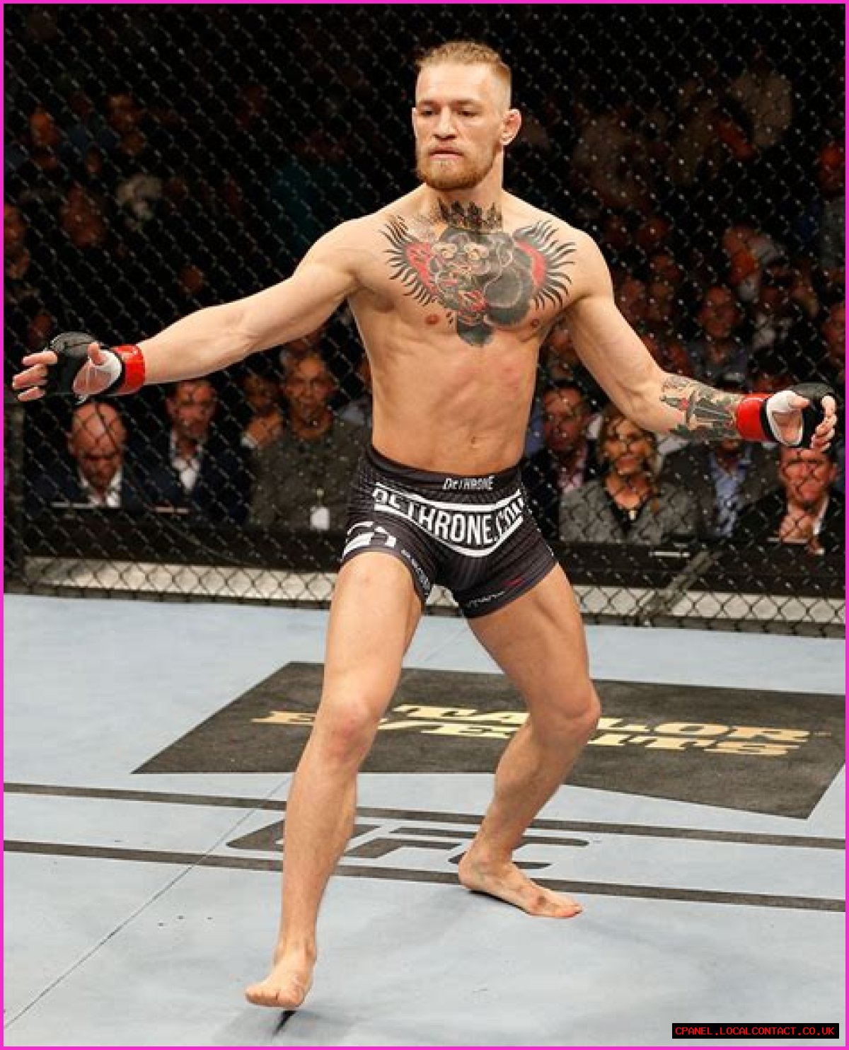 Understanding McGregor's Height In Feet: A Comprehensive Analysis
