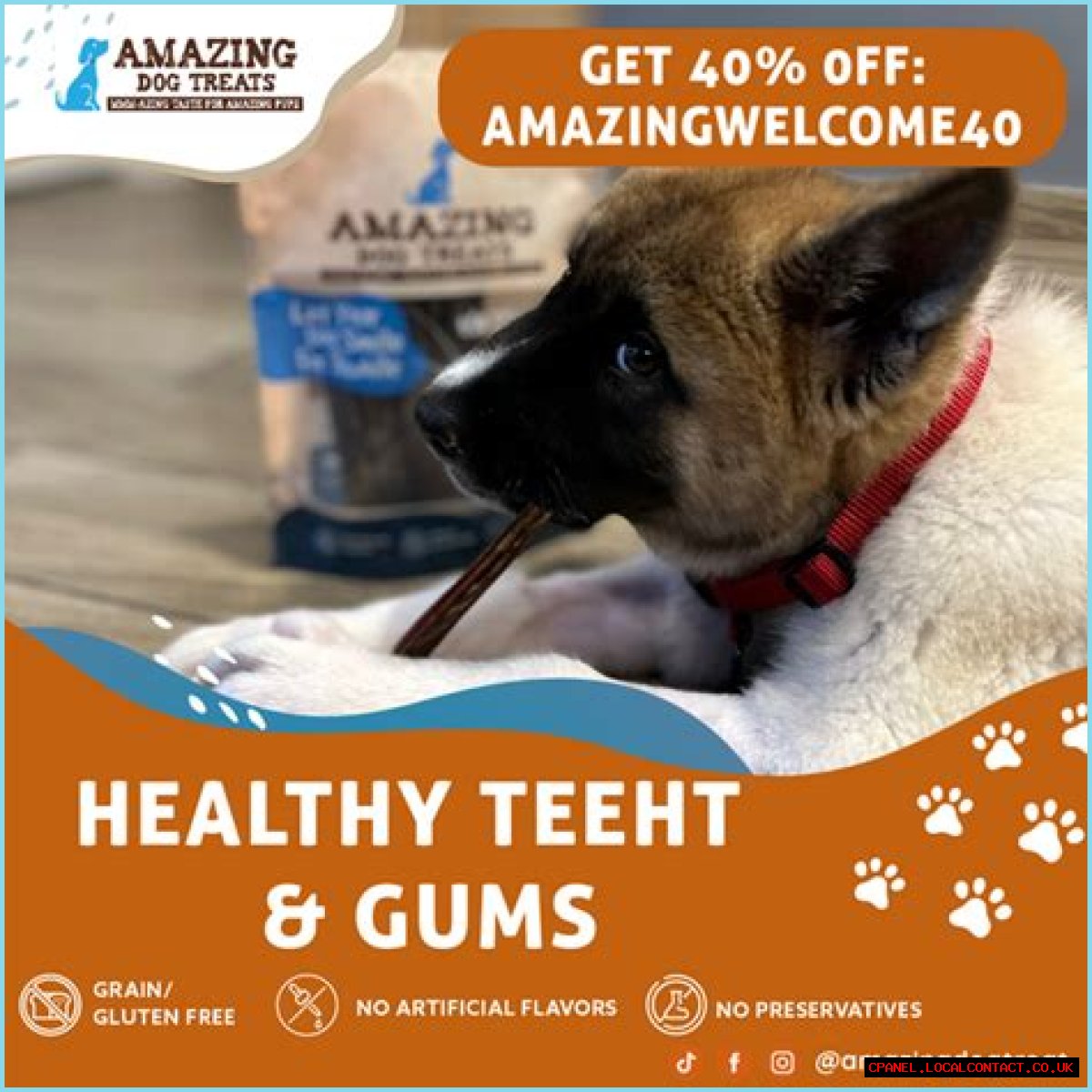 Unleashing The Best Dental Chews For Dogs: A Guide To Healthy Smiles