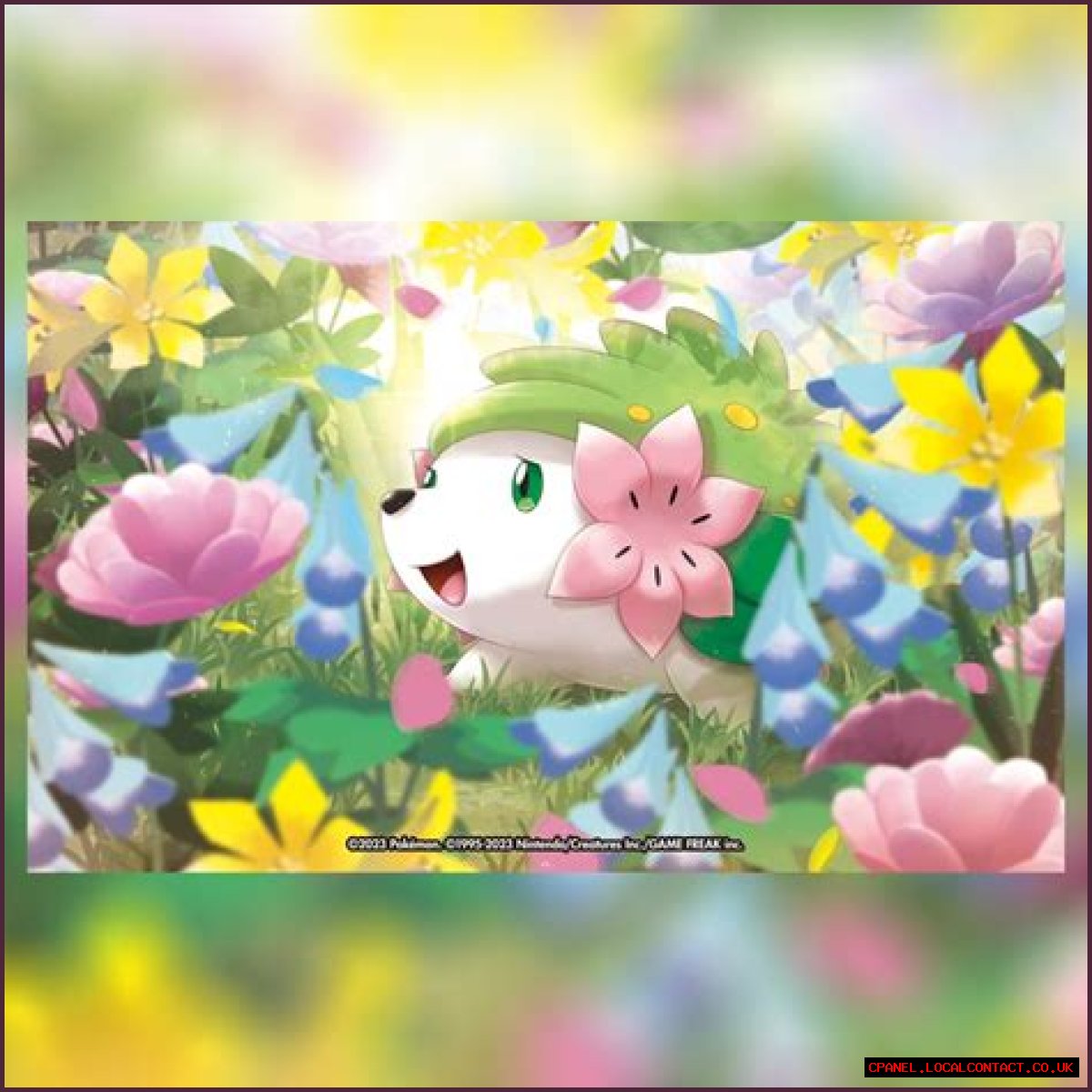 want shiny shaymin | Bulbagarden