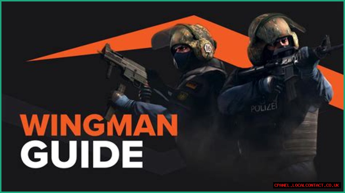 What is wingman csgo