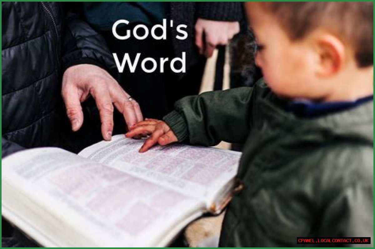 Words often spoken when touching a Bible: 2 wds.